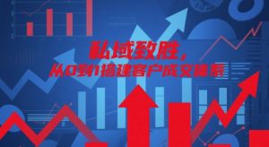 私域致胜，从0到1搭建客户成交体系-理想项目库