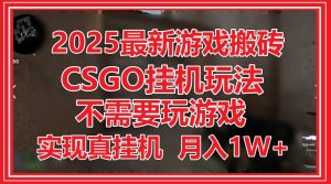 2025最新游戏搬砖，CSGO挂机，不需要玩游戏，实现真挂机，月入1W+-理想项目库