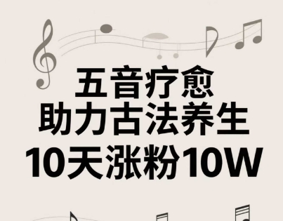 古法五音养生教程，五音疗愈的视频的制作方法，2-4小时就能学会，作者10天涨粉10W-理想项目库