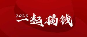 2025年，请“不择手段”去搞钱!-理想项目库