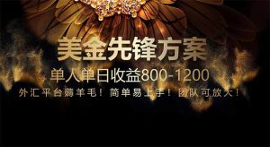 免费技术！小众赛道！一年布局抵三年努力，每日800+-理想项目库