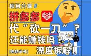 【2025最新】拼多多代坎助力项目深度拆解：还能挣钱吗?全流程玩法-理想项目库