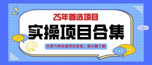 （14767期）2025年实操六大项目实操演练，挂机类型，AI直播类型，轻资产创业类型，…-理想项目库