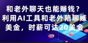 和老外聊天也能挣钱?利用AI工具和老外陪聊挣美金,时薪可达20刀-理想项目库