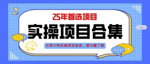 2025年实操六大项目实操演练,挂机类型,AI直播类型,轻资产创业类型,…-理想项目库