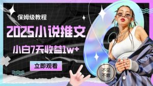 2025小说推文最新玩法，推文保姆级教程，小白7天收益1w+-理想项目库