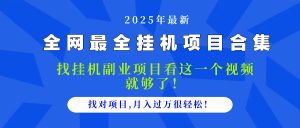 2025最全挂机项目合集 找项目看这一个视频就够了，做对项目月入过万很…-理想项目库