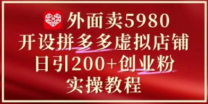 外面卖5980开设拼多多虚拟店铺:单日引流200+创业付费粉实战教程-理想项目库