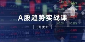 A股趋势实战课:主力动向+政策红利,2025全年策略5月更新-理想项目库