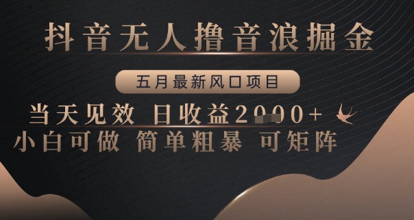 抖音无人撸音浪掘金，五月最新风口项目，当天见效，日收益多张，小白可做简单粗暴可矩阵【揭秘】-理想项目库
