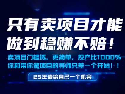 只有卖项目才能做到稳挣不赔，门槛低，更简单，你也可以年入百个W【揭秘】-理想项目库