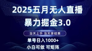 2025五月无人直播暴力掘金3.0,当天上手,当天拿结果,单号日入1k+小白可做可矩阵【揭秘】-理想项目库