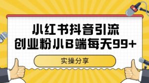 小红书抖音创业粉,小B端粉自热,日引99+的一个玩法【揭秘】-理想项目库