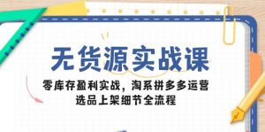 无货源实战课：零库存盈利实战，淘系拼多多运营，选品上架细节全流程-理想项目库