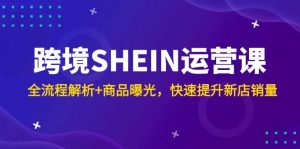 跨境SHEIN运营课，全流程解析+商品曝光，快速提升新店销量-理想项目库