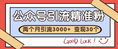 公众号精准粉引流玩法，2个月3000+精准粉，变现30个W【揭秘】-理想项目库