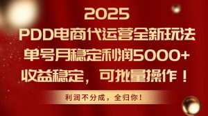 2025PDD电商代运营全新玩法,单号月稳定利润5000+,收益稳定,可批量操作-理想项目库