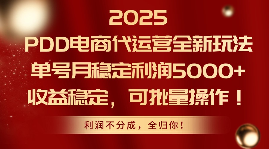2025PDD电商代运营全新玩法，单号月稳定利润5000+，收益稳定，可批量操作-理想项目库