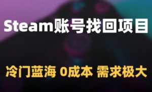 Steam账号找回项目,冷门蓝海,0成本,需求极大-理想项目库