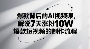 爆款背后的AI视频课，解说7天涨粉10W爆款短视频的制作流程-理想项目库