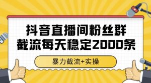 抖音直播间粉丝群暴力截流，一台电脑每天稳定2000条数据，暴力截流+实操 【揭秘】-理想项目库