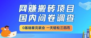 网创搬砖项目,国内问卷调查,小白轻松上手,一天三四张的也不难,干就完了【揭秘】-理想项目库