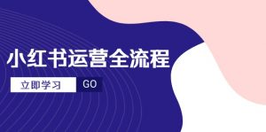 小红书运营全流程，爆款选题文案，视频制作技巧，进阶达人宝典-理想项目库