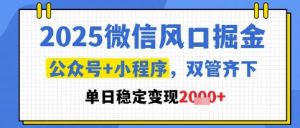 2025微信风口掘金，公众号+小程序双管齐下，单日稳定变现1k+【揭秘】-理想项目库