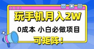 玩玩手机月入20000+,0成本小白必做项目,可矩阵-理想项目库