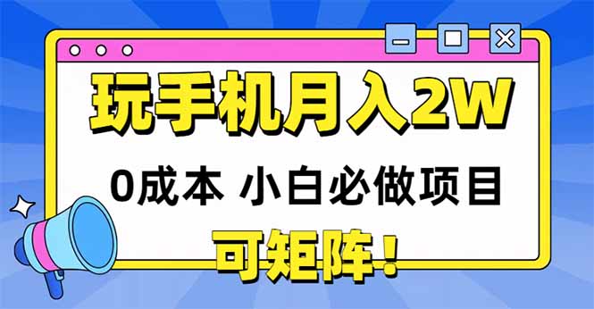玩玩手机月入20000+，0成本小白必做项目，可矩阵-理想项目库