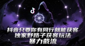 抖音只要你有同行就能获客，独家野路子获客玩法，暴力截流【揭秘】-理想项目库