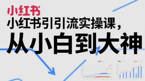 小红书引流实操课，从小白到大神-理想项目库