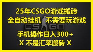 25年CSGO游戏搬砖，全自动挂机，不需要玩游戏，手机操作日入300+。(不…-理想项目库