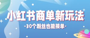 小红书商单新玩法，30个粉丝也能接单，一个月接三单赚了150+！适合新手小白操作-理想项目库