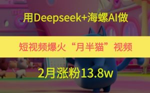 用Deepseek+海螺AI做短视频爆火“月半猫”视频，2月涨粉13.8w-理想项目库