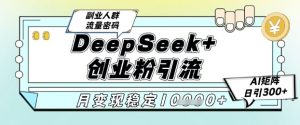 DeepSeek+创业粉精准引流,全新分享课4.0玩法,AI矩阵日引300+,多种变现方式,稳定月入1W-理想项目库