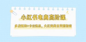 小红书电商高阶课,多店矩阵+卡位选品,大红海类目突围指南(更新5月)-理想项目库