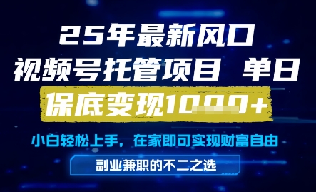 25年最新风口，视频号托管项目，单日保底变现1k+，手把手教学【揭秘】-理想项目库
