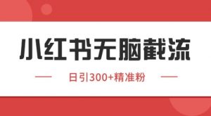 小红书截流同行客源，独家野路子获客玩法 日引200+暴力获客【揭秘】-理想项目库