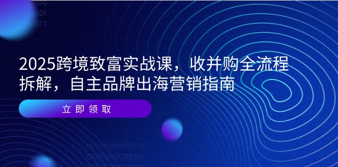 2025跨境致富实战课，收并购全流程拆解，自主品牌出海营销指南-理想项目库