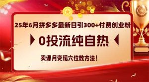 25年6月拼多多最新日引300+付费创业粉,0投流纯自热 卖课月变现六位数方法-理想项目库