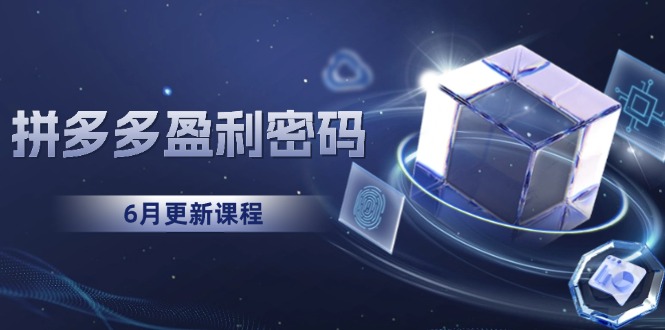 拼多多盈利密码：从烧钱推广到印钞模型，底层逻辑重构指南(6月更新-理想项目库