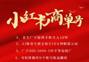 小红书商单号,AI轻松制作PLOG图文,商单接到手软3张-3k一条,每天轻松十分钟,矩阵n个账号,月入几个W-理想项目库