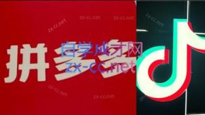 老陶电商·拼多多+抖音小店无货源开店-理想项目库