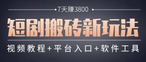 短剧搬砖新玩法，软件批量二创剪辑，7天赚了3800，赶紧做起来【附软件】-理想项目库