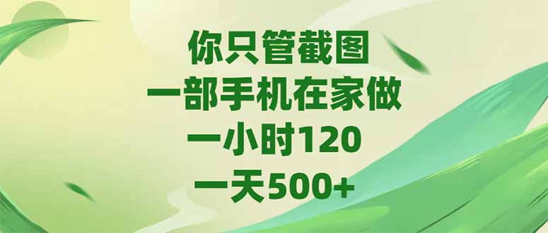 你只管截图，一部手机在家做，一小时120，-天500+-理想项目库
