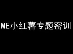 ME小红薯专题密训-小红书电商教程-理想项目库