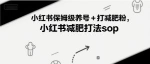小红书保姆级养号+打减肥粉，小红书减肥打法sop-理想项目库