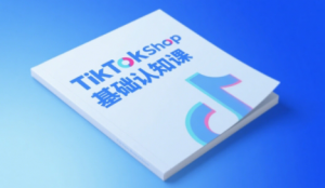 梨子姐姐·TikTok小店基础认知课-理想项目库
