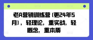 老A营销训练营(更25年6月),轻理论,重实战,轻概念,重本质-理想项目库